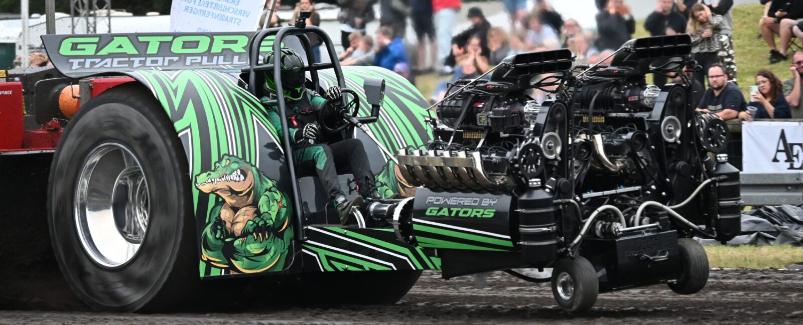 Photo & Design by Emma Roth